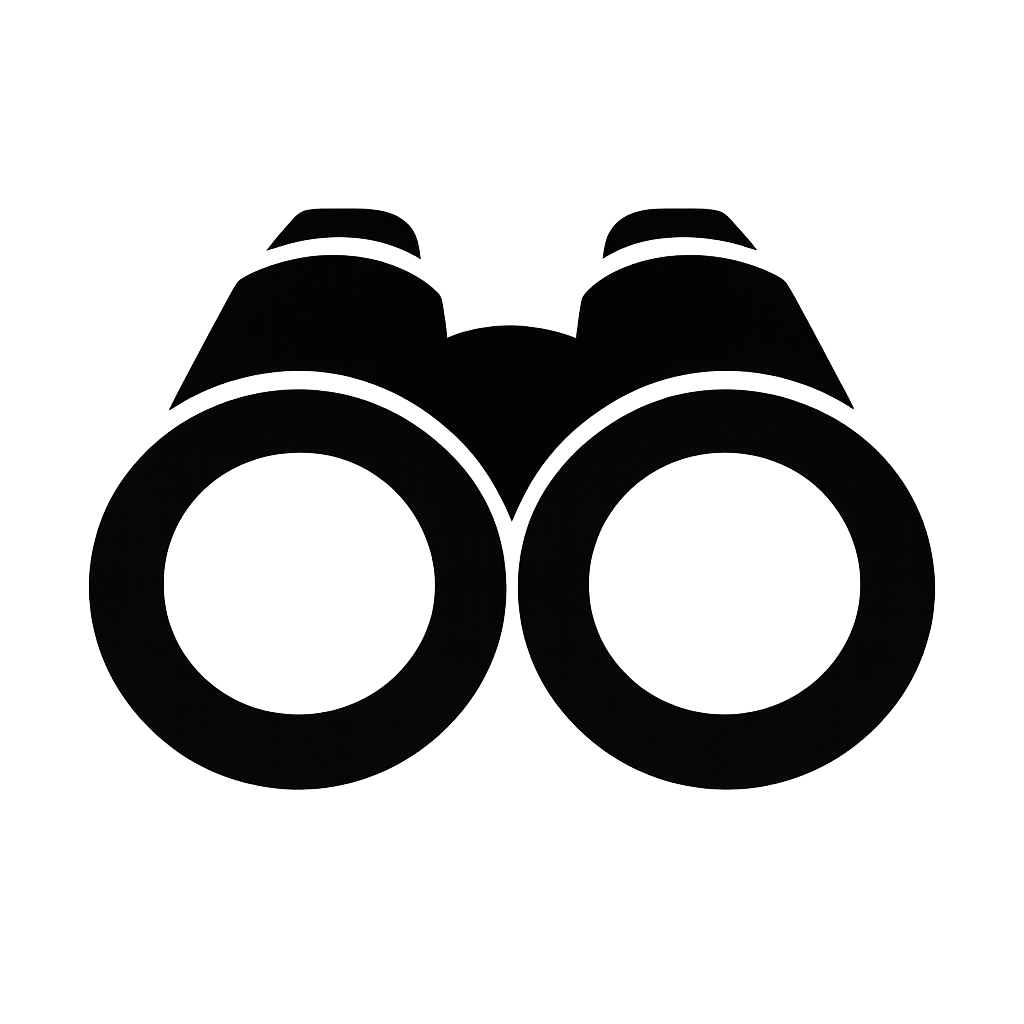 Vision Icon